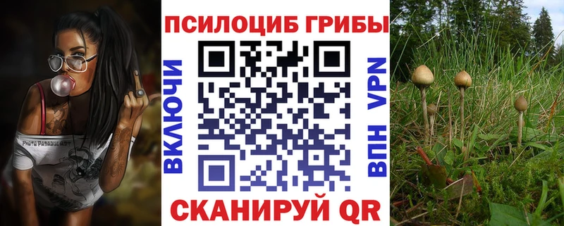 Галлюциногенные грибы Psilocybe  что такое наркотик  Благовещенск 